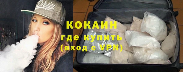крисы Абаза