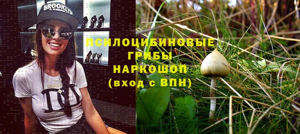 крисы Абаза